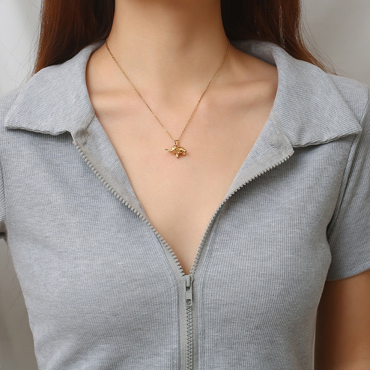 Collar de elefante 🐘